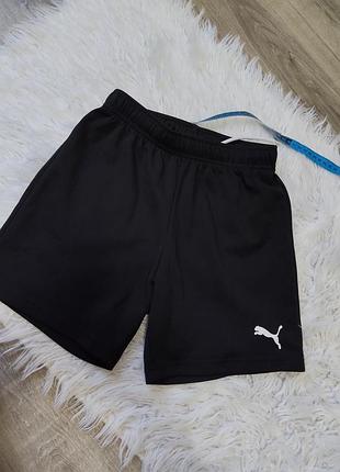 Крутые шорты puma на рост 146-152 см