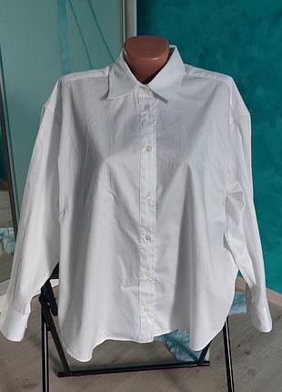 Рубашка zara, новая, лимитированная коллекция, коттон, оверсайз