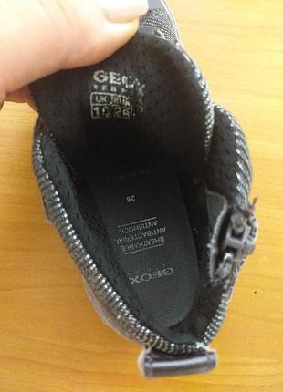 Кеди geox 5