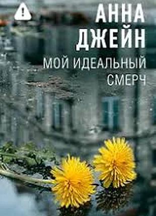 Мій ідеальний смерч — анна джейн