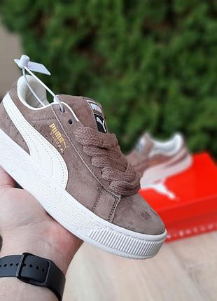 Жіночі кросівки puma suede xl бежеві замшеві пуми сайд xl для дівчини 40 (25.5 см)