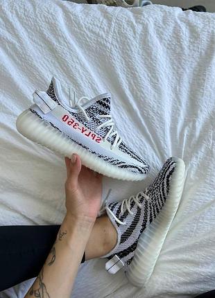 Жіночі кросівки adidas yeezy boost 350 білі для жінок з зручною підошвою