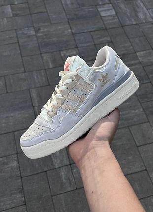 Адідас форум сірі замшеві жіночі кросівки adidas forum 84 low адіки