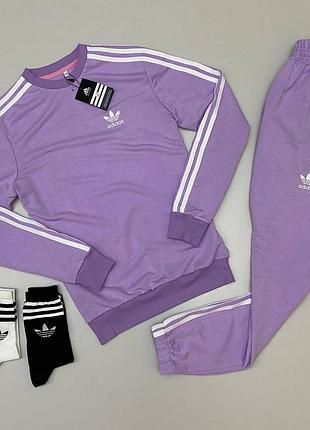 Спортивный костюм adidas мужской лиловый свитшот и брюки с лампасами, адидас спортивный костюм на парня