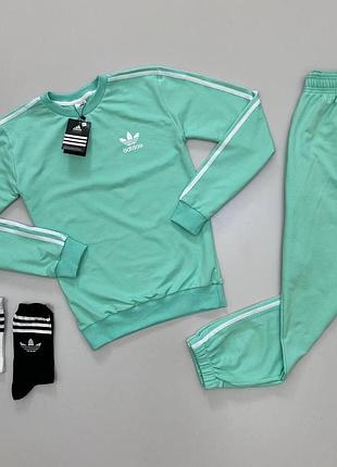 Спортивный костюм adidas мужской мятный свитшот и брюки с лампасами, адидас спортивный костюм на парня
