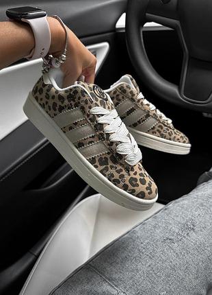 Adidas campus leopard