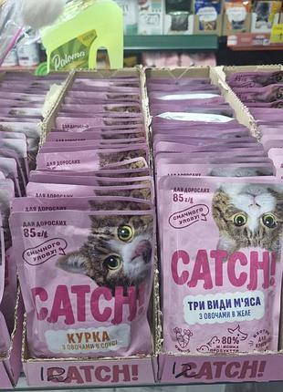 Вологий корм для котів бренду catch!, кетч корм для котів