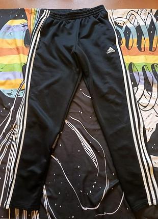 Спортивные штаны adidas aeroredy. размер м (46-48)