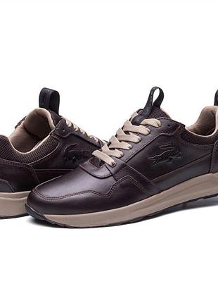 Чоловічі шкіряні кросівки classic brown