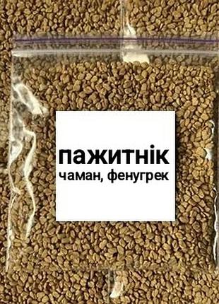 Пажитник (хельба чаман фенугрек) целый 300г
