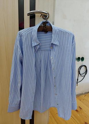 Рубашка zara xs s голубая в полоску