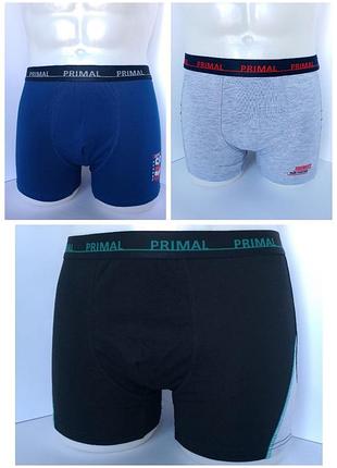 Набор мужских трусов боксеров 3 шт, primal b354 xxl