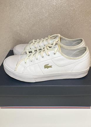 Жіночі шкіряні кросівки lacoste р.39