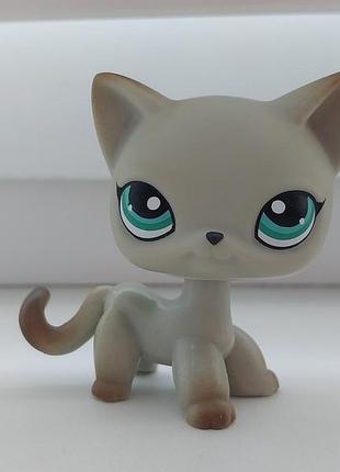 Lps лпс littlest pet shop пет шоп петшоп кішка стоячка з підводкою кіт пет шопи петшопи лсп little pet shop petshop pets shop hasbro фігурка іграшка