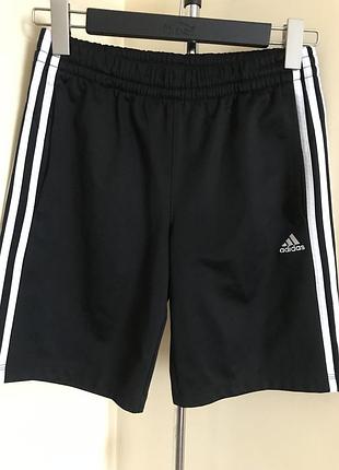 Adidas спортивні шорти