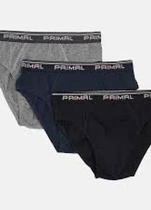 Набор мужских трусов слип primal 2501 xxl, разные цвета
