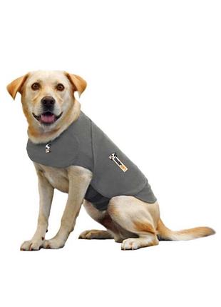 Це заспокійливий жилет thundershirt сірого кольору для собак, який використовує постійний м'який тиск для зменшення тривоги та страху.