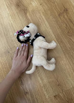 Собачка chi chi love 4