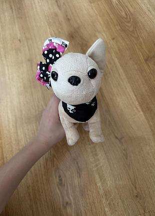 Собачка chi chi love 3