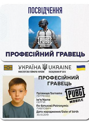 Признание «профессиональный игрок pubg mobile» – именноя карточка геймера с фото 🎮