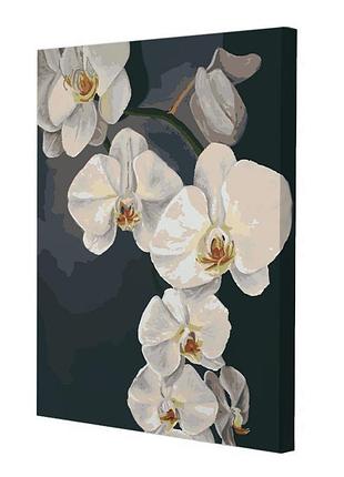 Картина за номерами riviera blanca орхідеї 40x50 см (rb-0778)