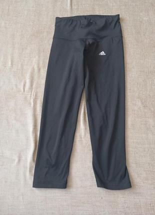 Бриджі жіночі adidas