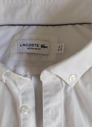 Мужская рубашка lacoste 3