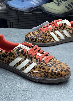 Кросівки adidas samba ji2734