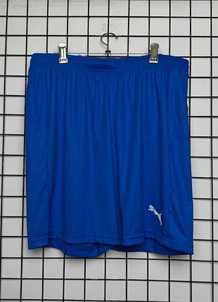 Чоловічі спортивні шорти puma teamwear shorts (оригінал) | розмір l