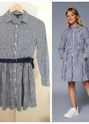 Polo ralph lauren 13-14 лет платье- рубашка полоска бело-синяя коттон длинные рукава бавовна сукня-сорочка пояс біло-блакитна детское платье девочка
