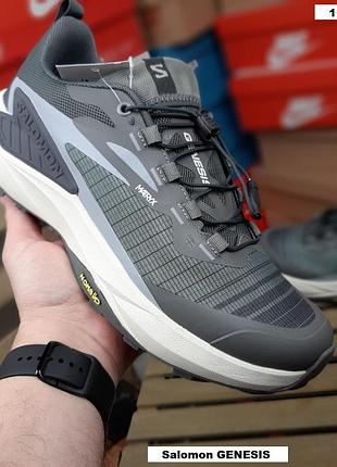 Salomon genesis сірі на сірій