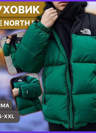 Зелений теплий пуховик the north face 700 стьобаний без капюшона, чоловіча утеплена зимова куртка зе норд фейс на зиму m