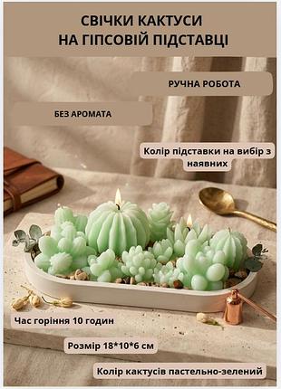 Свечки парафиновые кактусы набор свечей декоративных "сукуленты" нежно зеленые на овальной гипсовой подставке
