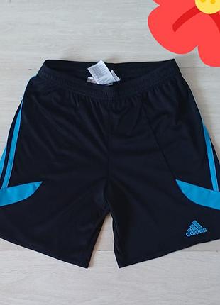 Шорты  adidas  на мальчика