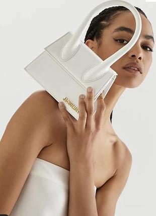 Стильна міні сумка jacquemus