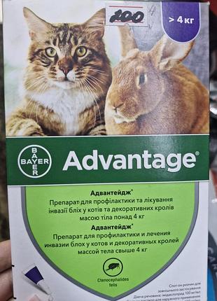 Адвантейдж 80 від компанії bayer (зараз elanco), препарат для профілактики та лікування інвазії бліх у котів і декоративних кролів. advantage