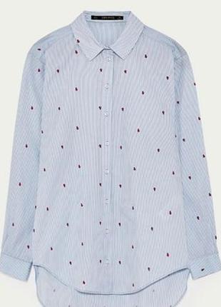 Коттонова рубашка zara basic