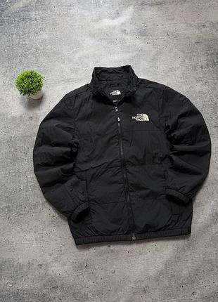 Чоловіча куртка the north face quilt outdoor jacket
