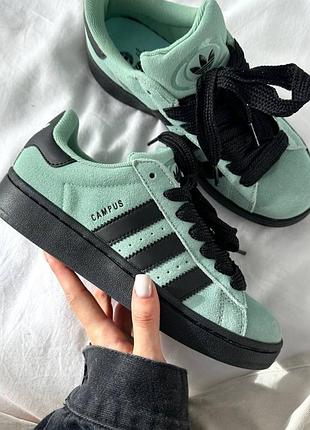 Adidas campus “mint/black”
