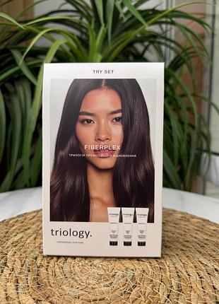Try set: трилогія професійного відновлення fiberplex triology