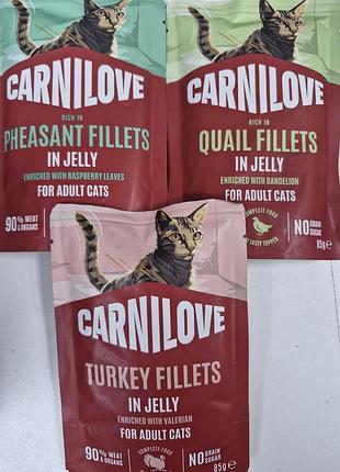Вологий корм для котів carnilove карнілав паучі в желе для вибагливих котиків для примхливих котів