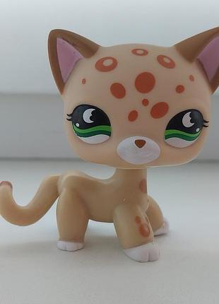 Лпс кішка стоячка леопардова пет шоп петшоп lps littlest pet shop pet shops petshops petshop фігурки іграшки фігурка іграшка ігрушка петс шоп петсшоп