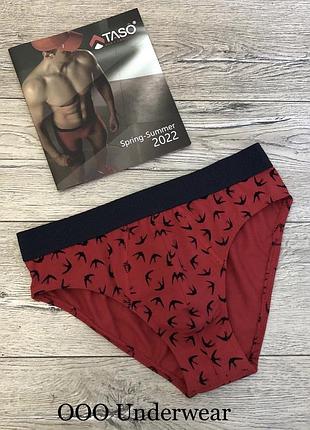 Труси чоловічі primark 6534 плавки бавовна іспанія .  батали .  розмір :  xxl (56)