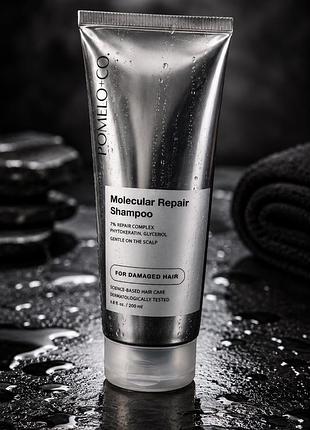 Шампунь  для відновлення пошкодженого волосся pomélo co. molecular repair shampoo, шампунь професійний італія