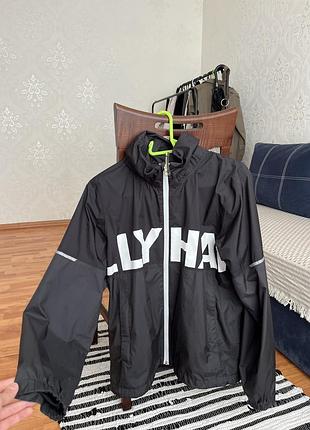 Вітровка сіра