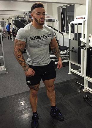 Мужская футболка от бренда wolf fitness серого цвета