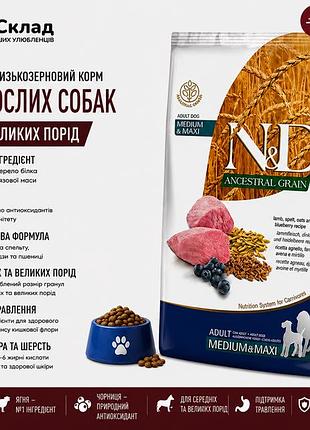 Farmina n&d low grain dog adult medium & maxi lamb & blueberry корм для собак середніх і великих порід 12 кг