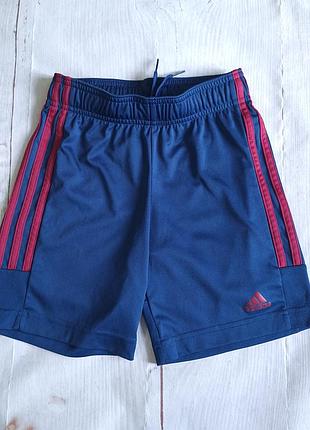 Спортивные шорты adidas указаны 7-8 лет.