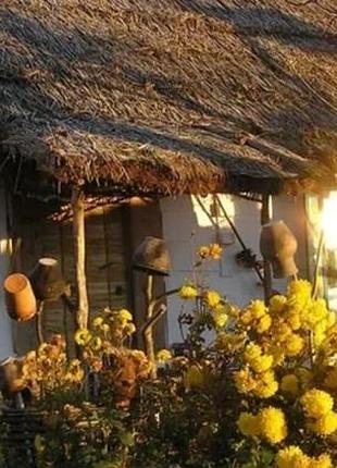 Фотосітка для огорожі та альтанки українське село 1 х 10 м