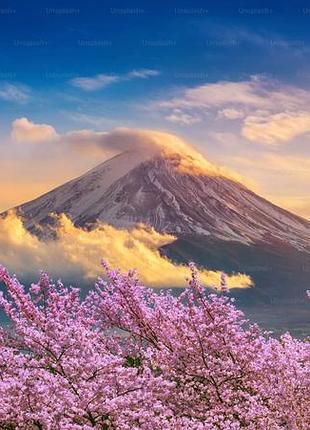 Декоративна сітка на паркан, фотосітка сакура 2 1.5 х 8 м